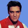 elvistheking1970
