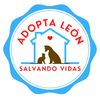 Adopta León - Salvando Vidas