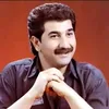 user040533064