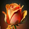 iamaman751