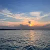 youssef_19811