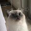 trungchiencuhanhtay2402