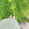 bloomybutterflyyy