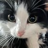 ilovecleanpussy10