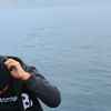 dolphin_1308