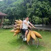 phamdongvt