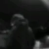 nitroblck
