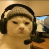 lmfinebtw