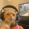 sskiez