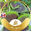 sijod2018