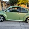 c.greenbug