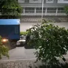 hjrudydhtg