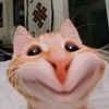 gre_1202
