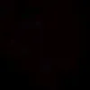 amer_2082