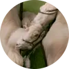 pidagas618