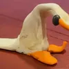 duck.y98