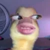 conbotmanhnhatb10