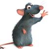remi_the_rat2009