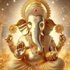neena3695