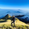 firmandwiroyansyah