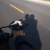 .hifollow17