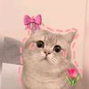 salmaa1aa5