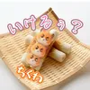 どぅ見てもチクワです☹️