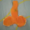 Dallorry