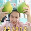 🌻เป้2469🌻