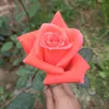 user818053213