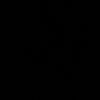 ndsr