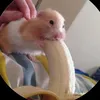 thn.thfuy