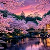_mariam_207