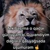 eli533.eli533