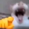 00megazer00