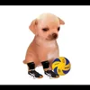 user6pw0ijjzww