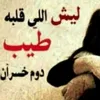 yousefalshmery