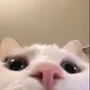 isawithi