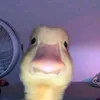 imabigman41