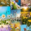 🌼🦋Butterfly🦋🌼