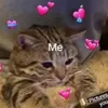 toni_zdr