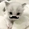immitt_