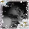 proudmommyof7