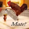 mat66eo
