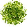 everydaycooking11