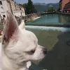 Apolo&Jalu