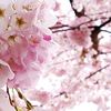 mikstoo_pink