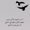 user852121682