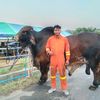 user277310259