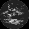 atula_03